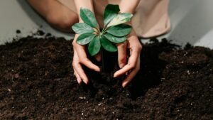 Gardening and Hand Health: What Sweaty Palms Might Be Telling You