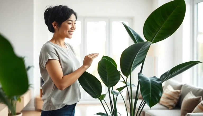 how to care for rubber plant