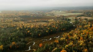 Pennsylvania’s Greenhouse Revival Brings Farming Into A New Era